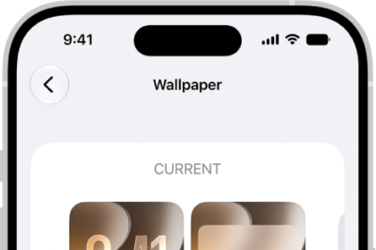 The Wallpaper Settings screen, with buttons for customizing the current wallpaper on the Home Screen and Lock Screen, and the Add New Wallpaper button for changing the wallpaper.