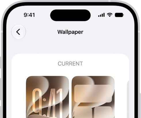 The Wallpaper Settings screen, with buttons for customizing the current wallpaper on the Home Screen and Lock Screen, and the Add New Wallpaper button for changing the wallpaper.