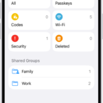 The Home Screen for the Passwords app, with buttons for All, Passkeys, Verification Codes, W-Fi, Security, and Deleted, along with a list of Shared Groups.