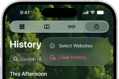 The Clear History menu in the Safari app with Clear History highlighted.