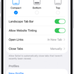 A screen showing three Safari layout options: Compact, Bottom, and Top.