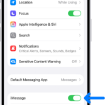 The Messages settings pane with iMessage turned on.