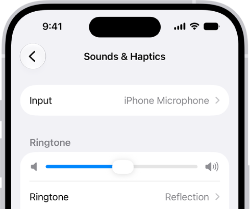 The Sounds and Haptics screen in Settings.