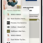 Previews of open tabs are visible on the screen. At the bottom left of the screen, the New Tab button is selected, revealing a list of recently closed tabs.
