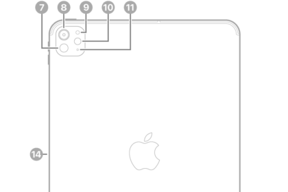 The back view of iPad Pro with callouts to LiDAR, the rear camera, rear ambient light sensor, flash, and microphone at the top left, the Smart Connector and USB-C connector at the bottom center, and the magnetic connector for Apple Pencil on the left.