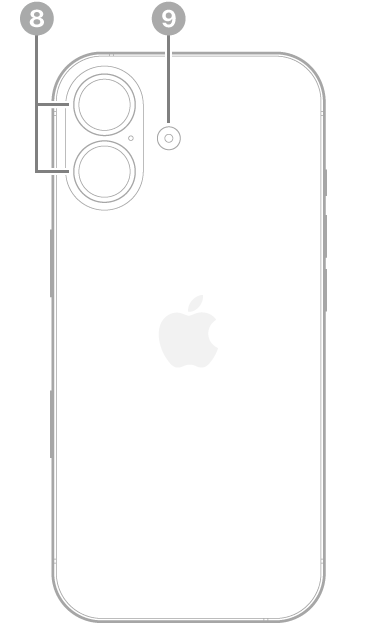 The back view of iPhone 17. The rear camera and flash are at the top left.