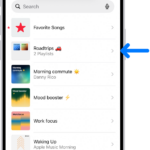 The Library tab showing the list of playlists. At the top are buttons to create a new playlist or create a new folder. A blue arrow is pointing to a playlist folder named Roadtrips.