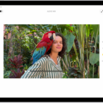 A video is open in the Photos app. On the left side of the screen are editing buttons for Video, Audio Mix, Adjust, Filters, and Crop. Audio Mix is selected. On the right side of the screen are buttons to adjust the sound options which are Standard, In-Frame, Studio, and Cinematic. Studio is selected.