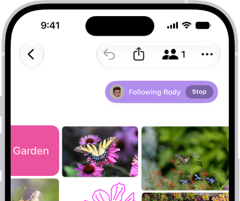 An iPhone with the Freeform app open. The board includes handwriting, text, drawings, shapes, photos, videos, sticky notes, links, and other files.