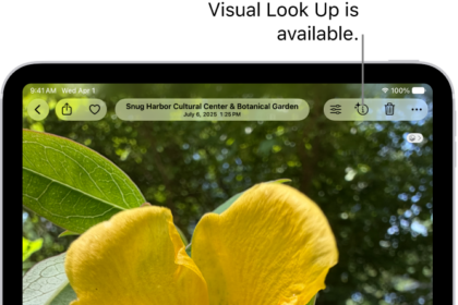 A photo is open in the Photos app library. At the top of the screen, the Info button displays an icon indicating that Visual Look Up information is available. The button is selected and the Visual Look Up results appear on the screen.