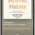 The audiobook player screen showing, from top to bottom, the audiobook cover, the name of the section that's playing, the playhead, pause button, and the skip forward and back buttons. At the bottom is the volume slider and below that are buttons for controlling playback speed, setting a sleep timer, choosing a playback destination, and viewing a list of the book's tracks.