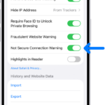The Not Secure Connection Warning control, located below Privacy & Security on the Safari screen in Settings.