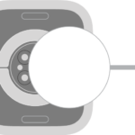 The concave end of the charger magnetically snaps to the back of Apple Watch.