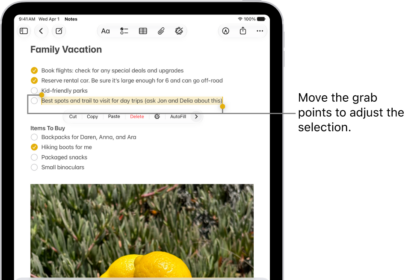 Text is selected in a note in the Notes app. Above the selected text is a menu of buttons including Cut, Copy, and Paste. The selected text is highlighted, with grab points to adjust the selection at either end.