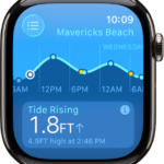 A screen in the Tides app showing tide information for a location.