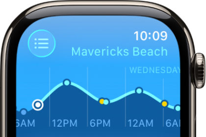 A screen in the Tides app showing tide information for a location.