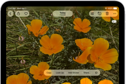 A photo is open in the Photos app library. The subject in the center of the photo is outlined and the Copy, Look Up, Add Sticker, and Share buttons appear above it.