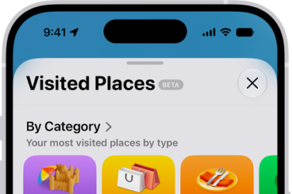 The Visited Places screen in the Maps app. Leisure, Shopping, Dining, and Nature appear as categories, each with a number indicating how many visits were made in that category.