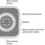 The back of Apple Watch Series 11, with the band release buttons at top and bottom, the electrical heart sensors, optical heart sensors, and blood oxygen sensors in the middle, and the speaker on the side.