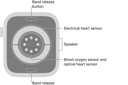 The back of Apple Watch Series 11, with the band release buttons at top and bottom, the electrical heart sensors, optical heart sensors, and blood oxygen sensors in the middle, and the speaker on the side.