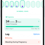 The Cycle Tracking screen with a pregnancy timeline for a week at the top of the screen. Light green ovals and purple dots mark 5 days on the timeline. Dashed light green ovals mark the other days on the timeline. Below the timeline is the pregnancy summary showing the gestational age, start date, and estimated due date. Below the pregnancy summary are options to add information about bleeding during pregnancy, symptoms, and more.
