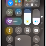 The iPhone Control Center.