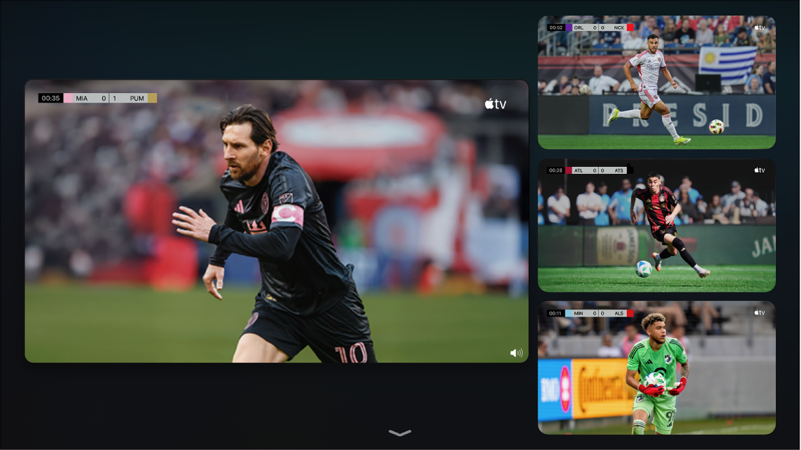 Screen showing Multiview