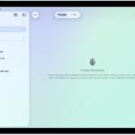 The Safari sidebar on the left side of the Safari window is open, with Private selected. On the right is an explanation that Safari won't remember your browsing.