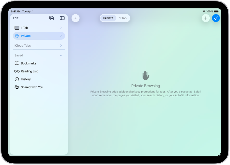 The Safari sidebar on the left side of the Safari window is open, with Private selected. On the right is an explanation that Safari wonāt remember your browsing.