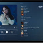 The Now Playing screen showing the queue with AutoPlay and AutoMix turned on. Similar songs appear below the songs in the album.