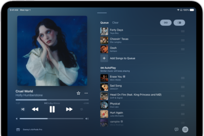 The Now Playing screen showing the queue with AutoPlay and AutoMix turned on. Similar songs appear below the songs in the album.