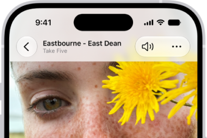 A memory is playing in the middle of the screen. At the bottom of the screen are the Memory Mixes and Browse buttons. At the top of the screen are the Back, Mute, and More buttons. At the top center of the screen are the location of the photo and the name of the song playing.