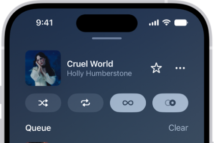 The Now Playing screen showing the queue with AutoPlay and AutoMix turned on. Similar songs appear below the songs in the queue.