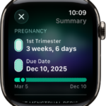 A screen in the Cycle Tracking app showing a pregnancy summary, with a gestational age and due date at the center of the screen.