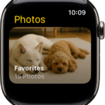 The Photos app on Apple Watch showing an album called Favorites.