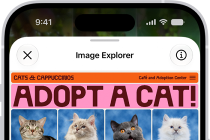 An Image Explorer screen giving a description of a cat adoption flyer.
