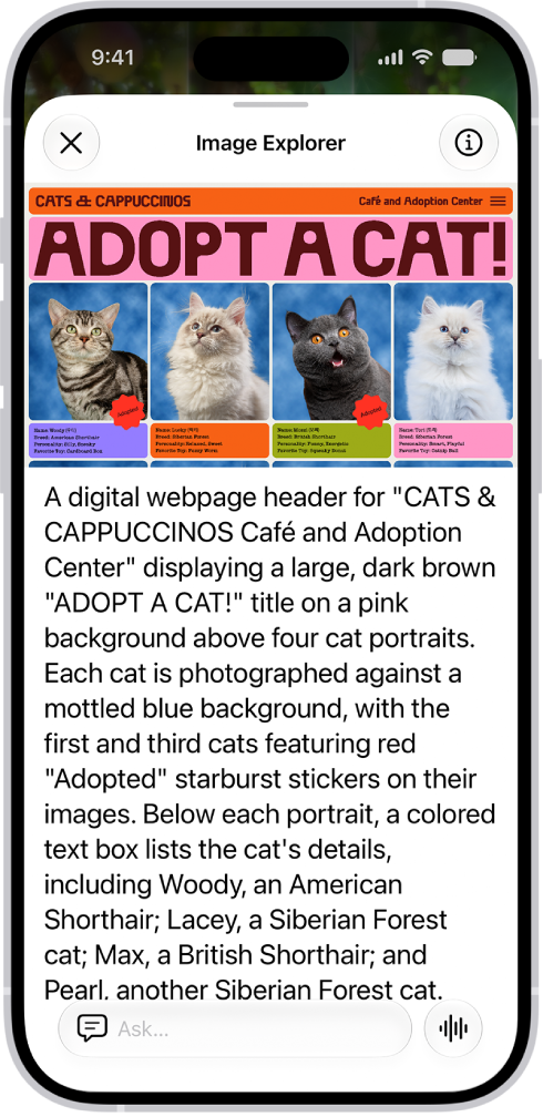 An Image Explorer screen giving a description of a cat adoption flyer.