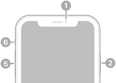 The front view of iPhone 11. The front camera is at the top center. On the right side, from top to bottom, are the side button and the SIM tray. The Lightning connector is on the bottom. On the left side, from bottom to top, are the volume buttons and the Ring/Silent switch.