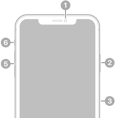 The front view of iPhone 11 Pro Max. The front camera is at the top center. On the right side, from top to bottom, are the side button and the SIM tray. The Lightning connector is on the bottom. On the left side, from bottom to top, are the volume buttons and the Ring/Silent switch.