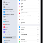 The Privacy & Security screen, with settings to control whether apps can use the camera, microphone, and other parts of your iPad.