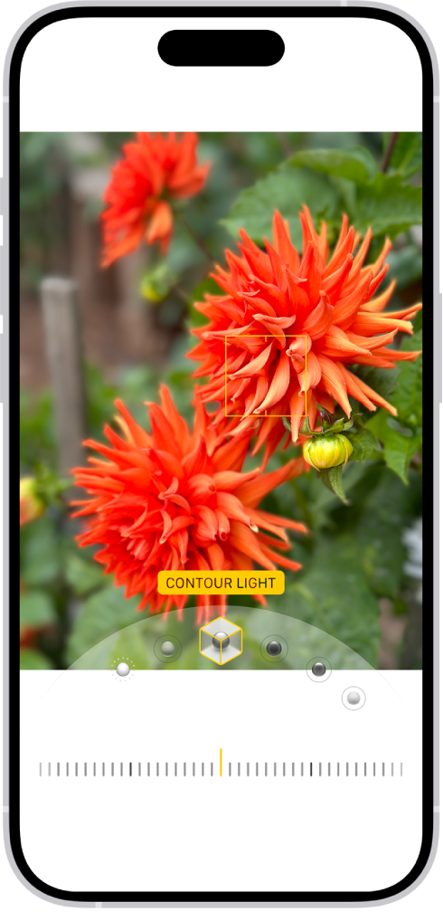 The Edit screen in the Photos app with a portrait in the center. Below the photo are the Portrait Lighting options. Studio Light is selected. Below that is a slider to adjust the level of the effect. At the bottom of the screen, from left to right, are the Portrait, Adjust, Filters, and Crop buttons. The Portrait button is selected.