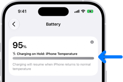 The charging information card in iPhone Battery settings. The card shows the battery at 95% with the message "Charging on Hold: iPhone Temperature." A note below indicates that charging will resume when the iPhone temperature returns to normal.