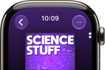 A Podcasts screen showing an episode with the Back, Play, More Options, and Audio Output buttons.