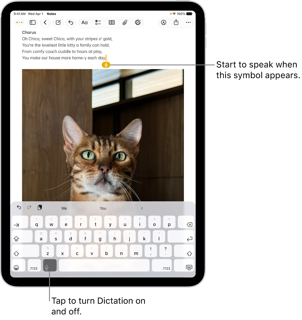 The onscreen keyboard is open in the Notes app. The Dictation button at the bottom of the keyboard is selected and the Dictation button appears below the insertion point in the text field.