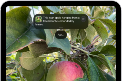The Magnifier app showing a close-up of an unripe apple.