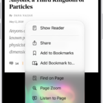 In Safari, the Page Menu button on a website has been tapped, revealing options including Hide Distracting Items.