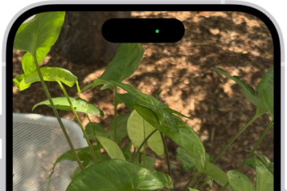 An iPhone in Visual Intelligence showing a plant.