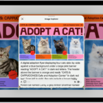 An Image Explorer screen giving a description of a cat adoption flyer.