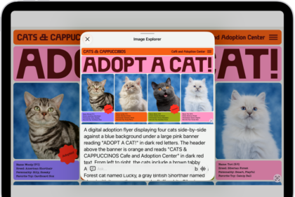 An Image Explorer screen giving a description of a cat adoption flyer.