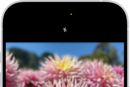 The Camera screen in Portrait mode; in the viewfinder, the subject is sharp and the background is blurred. The dial to select Portrait Lighting is open in the bottom of the frame and Studio Light is selected.